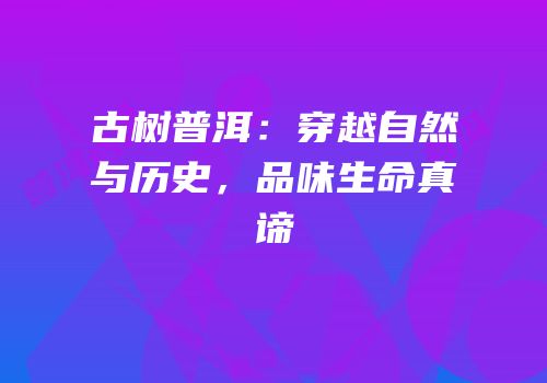 古树普洱：穿越自然与历史，品味生命真谛