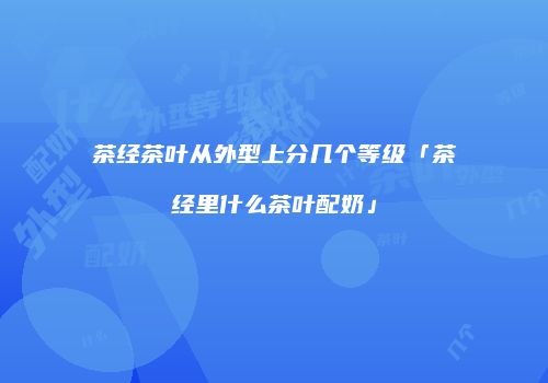 茶经茶叶从外型上分几个等级「茶经里什么茶叶配奶」