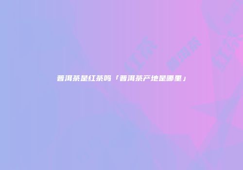 普洱茶是红茶吗「普洱茶产地是哪里」