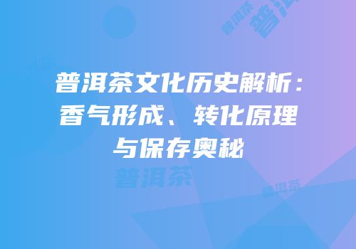 普洱茶文化历史解析：香气形成、转化原理与保存奥秘