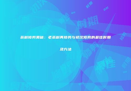 茶树修剪奥秘：老茶树再修剪与初次修剪的最佳时期及方法