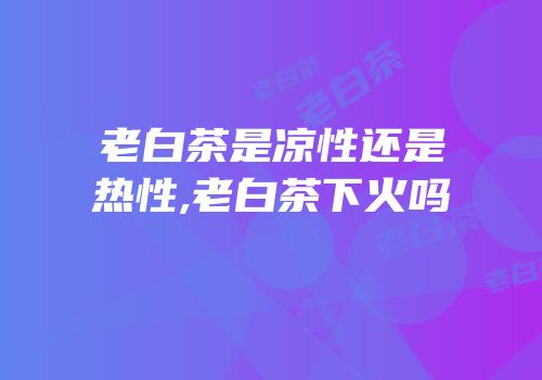 老白茶是凉性还是热性,老白茶下火吗