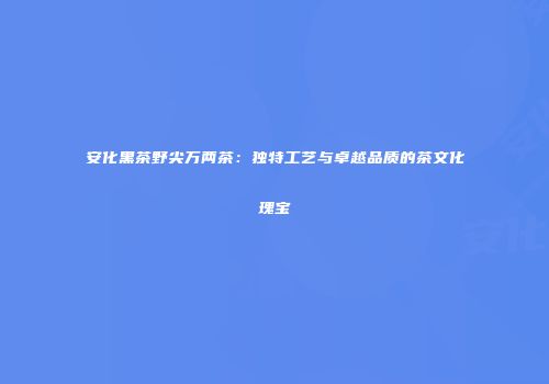 安化黑茶野尖万两茶：独特工艺与卓越品质的茶文化瑰宝