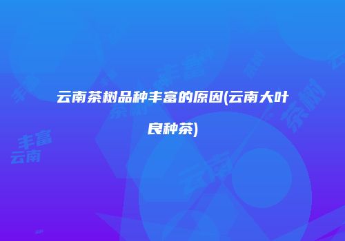 云南茶树品种丰富的原因(云南大叶良种茶)