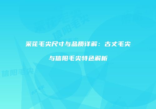 采花毛尖尺寸与品质详解：古丈毛尖与信阳毛尖特色解析
