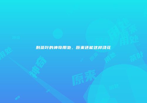 剩茶叶的神奇用处，原来还能这样浇花