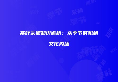 茶叶采摘知识解析：从季节时机到文化内涵