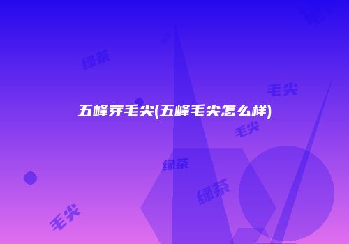 五峰芽毛尖(五峰毛尖怎么样)