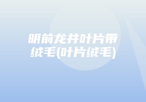 明前龙井叶片带绒毛(叶片绒毛)