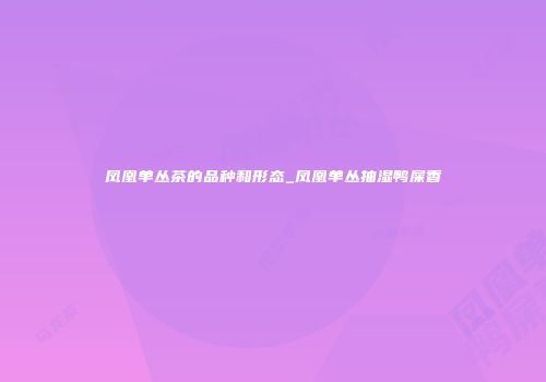 凤凰单丛茶的品种和形态_凤凰单丛抽湿鸭屎香