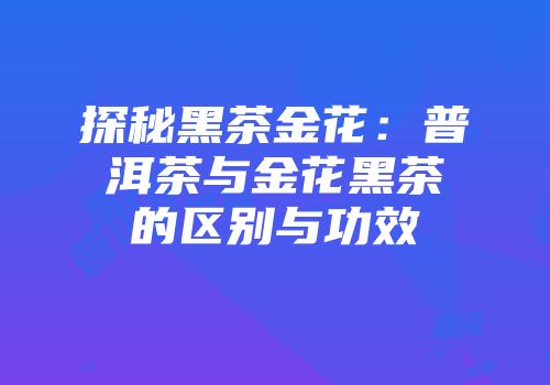 探秘黑茶金花：普洱茶与金花黑茶的区别与功效