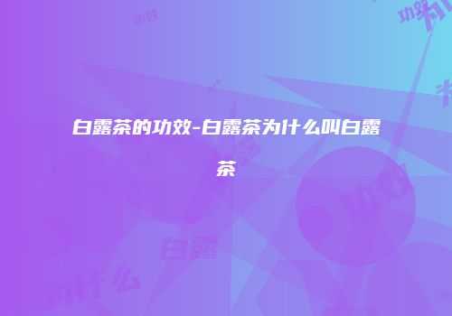 白露茶的功效-白露茶为什么叫白露茶