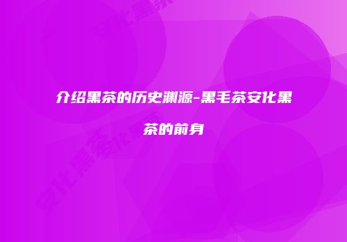 介绍黑茶的历史渊源-黑毛茶安化黑茶的前身