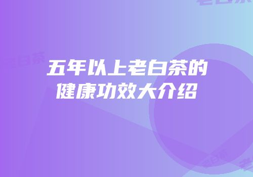 五年以上老白茶的健康功效大介绍