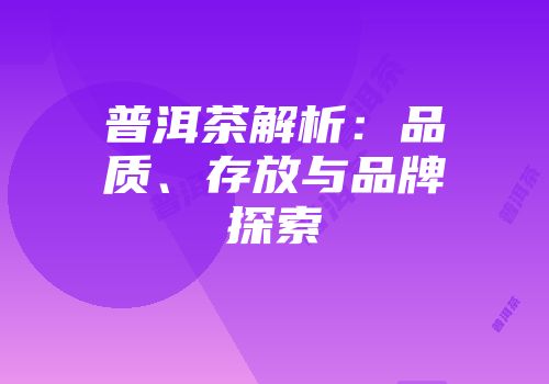 普洱茶解析：品质、存放与品牌探索