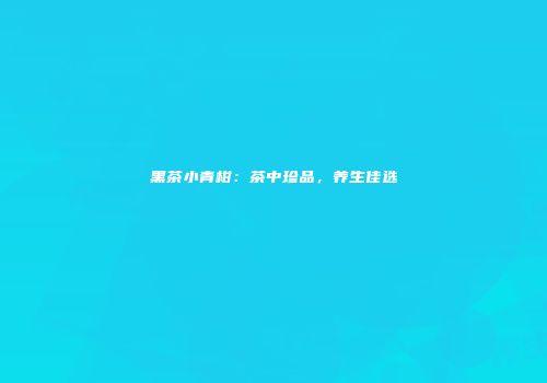 黑茶小青柑：茶中珍品，养生佳选