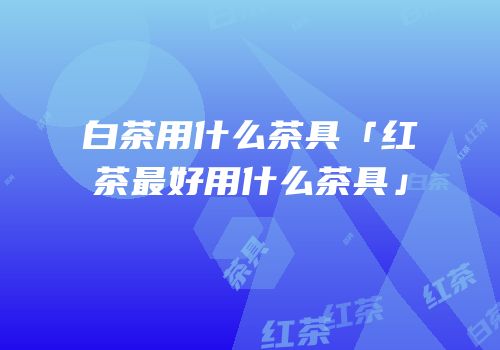 白茶用什么茶具「红茶最好用什么茶具」
