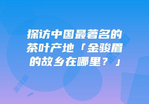 探访中国最著名的茶叶产地「金骏眉的故乡在哪里？」