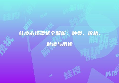 桂皮市场现状全解析：种类、价格、种植与用途