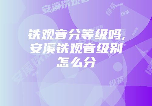 铁观音分等级吗,安溪铁观音级别怎么分