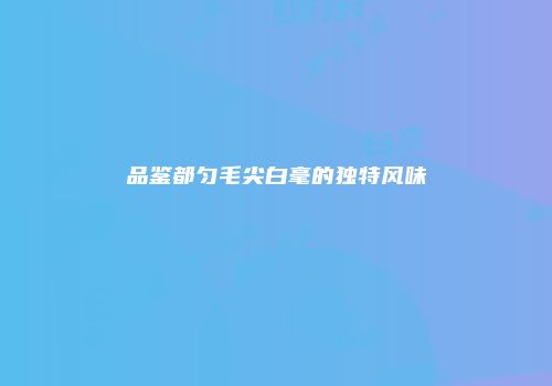 品鉴都匀毛尖白毫的独特风味
