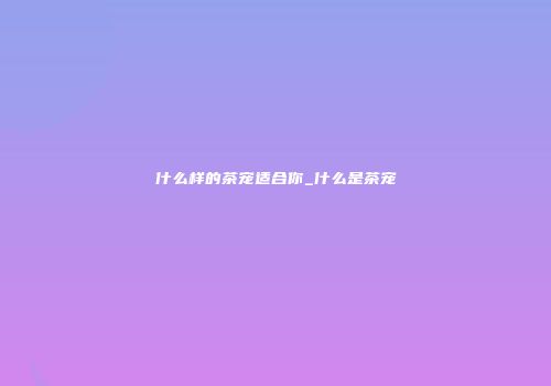 什么样的茶宠适合你_什么是茶宠