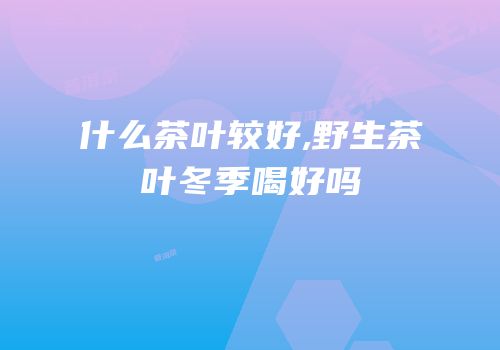 什么茶叶较好,野生茶叶冬季喝好吗