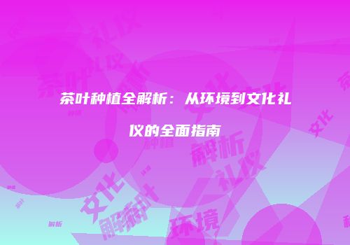 茶叶种植全解析：从环境到文化礼仪的全面指南
