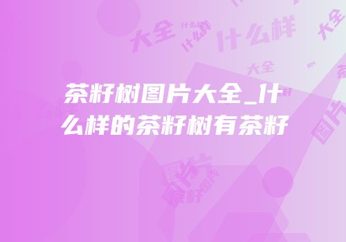 茶籽树图片大全_什么样的茶籽树有茶籽