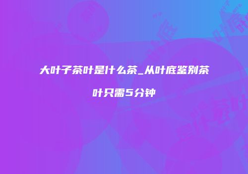 大叶子茶叶是什么茶_从叶底鉴别茶叶只需5分钟