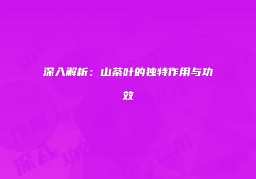 深入解析：山茶叶的独特作用与功效