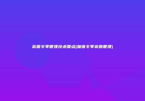 茶园冬季管理技术要点(加强冬季茶园管理)