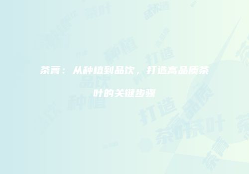 茶菁：从种植到品饮，打造高品质茶叶的关键步骤