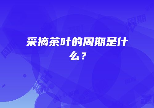 采摘茶叶的周期是什么？