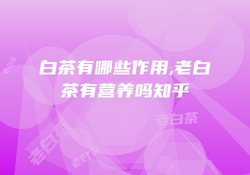 白茶有哪些作用,老白茶有营养吗知乎