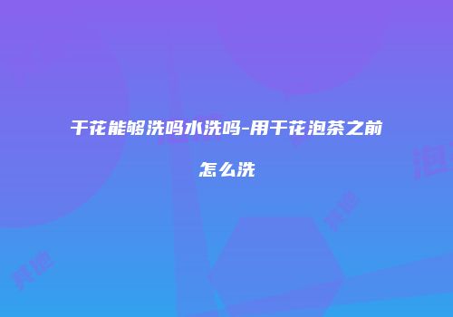 干花能够洗吗水洗吗-用干花泡茶之前怎么洗