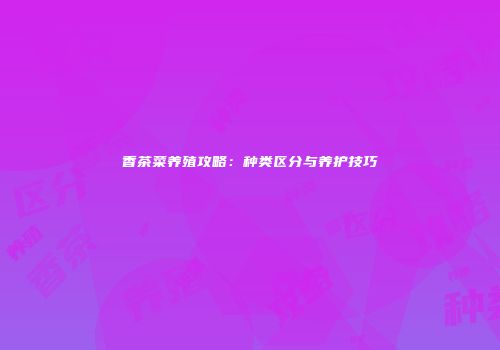 香茶菜养殖攻略：种类区分与养护技巧