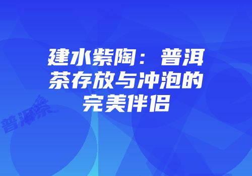 建水紫陶：普洱茶存放与冲泡的完美伴侣