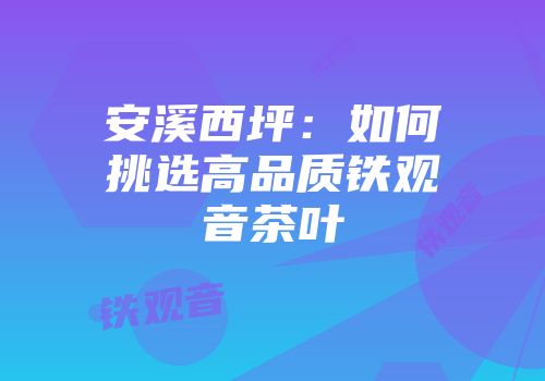 安溪西坪：如何挑选高品质铁观音茶叶