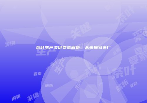 茶叶生产关键要素解析：从采摘到进厂