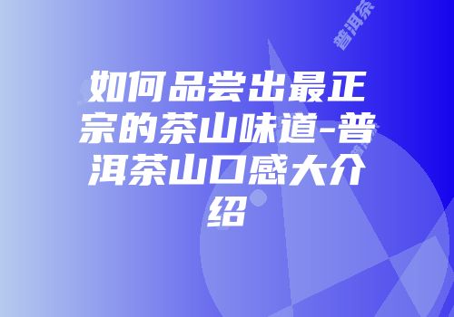 如何品尝出最正宗的茶山味道-普洱茶山口感大介绍