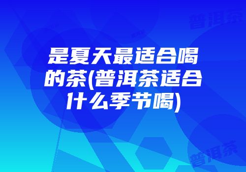 是夏天最适合喝的茶(普洱茶适合什么季节喝)