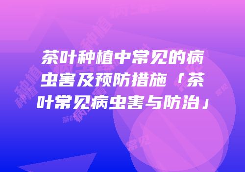 茶叶种植中常见的病虫害及预防措施「茶叶常见病虫害与防治」