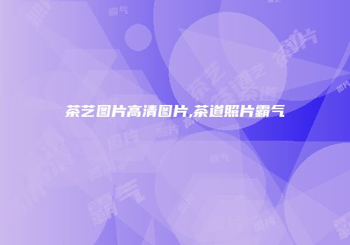 茶艺图片高清图片,茶道照片霸气