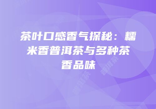 茶叶口感香气探秘：糯米香普洱茶与多种茶香品味