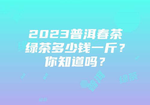 2023普洱春茶绿茶多少钱一斤？你知道吗？