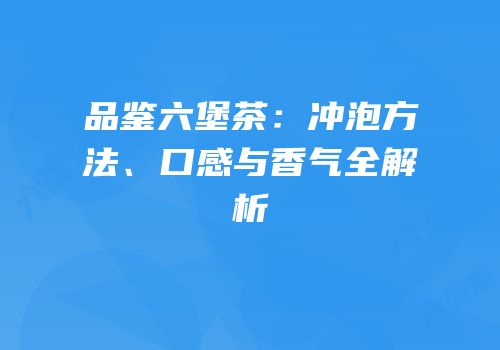 品鉴六堡茶：冲泡方法、口感与香气全解析