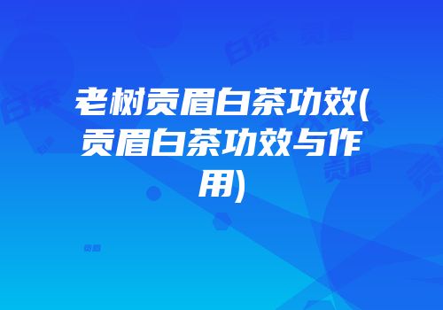 老树贡眉白茶功效(贡眉白茶功效与作用)