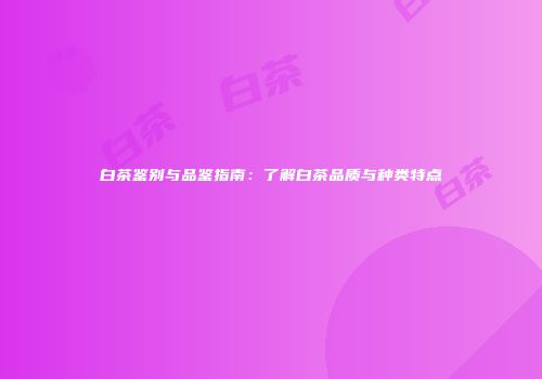 白茶鉴别与品鉴指南：了解白茶品质与种类特点