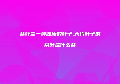 茶叶是一种健康的叶子,大片叶子的茶叶是什么茶